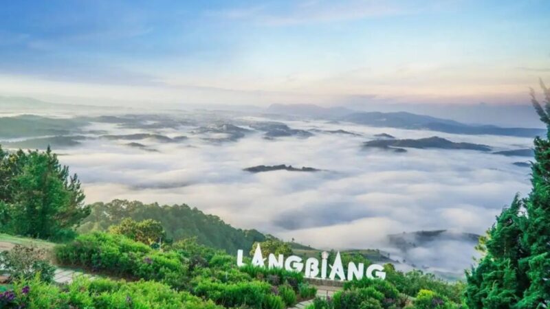 Tour Đà Lạt 1 ngày - Ảnh 4