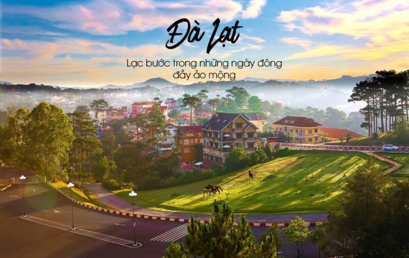 Tour Đà Lạt 1 ngày - Ảnh 1