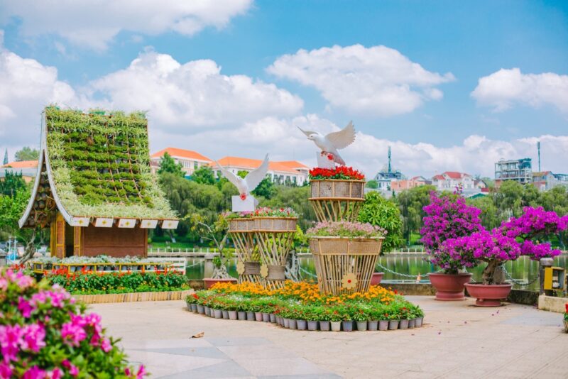 Tour Đà Lạt 1 ngày - Ảnh 2
