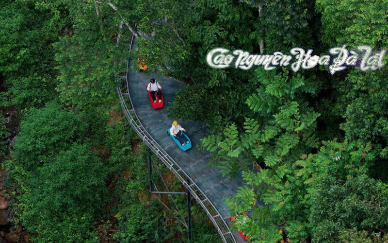 Tour Đà Lạt 1 ngày - Ảnh 1