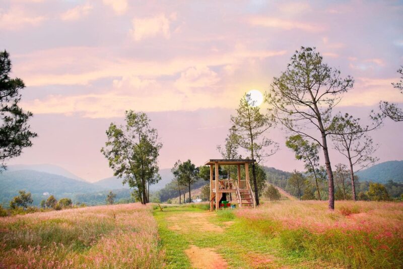 Tour Đà Lạt 1 ngày - Ảnh 1